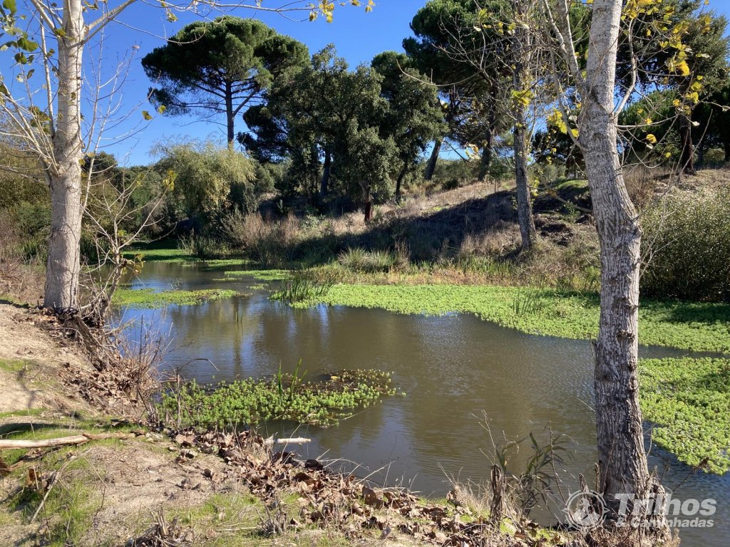 Ribeiras da Lamarosa e de Muge